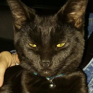 Meet your Posher, Renata